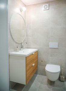 a bathroom with a toilet and a sink and a mirror at Apartment Secret in Jonava