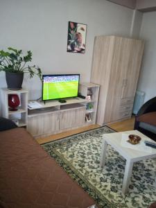 a living room with a tv and a couch and a table at Apartman Nikolic in Bor