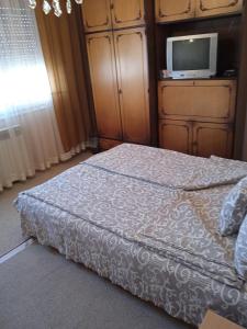 a bedroom with a bed and a tv on a dresser at Apartman Nikolic in Bor