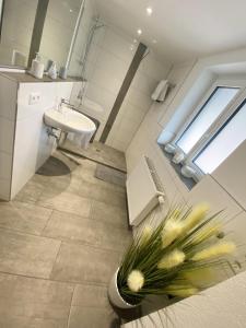 a bathroom with a sink and a toilet at Ferienwohnungen Zur Abtei Bodenseeregion in Ravensburg