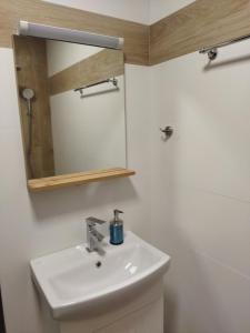 een badkamer met een wastafel en een spiegel bij Augusta Apartment in Stara Zagora