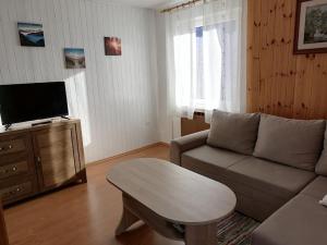 a living room with a couch and a coffee table at Apartment Vida in Bovec