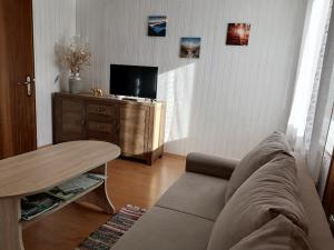 Imagen de la galería de Apartment Vida, en Bovec