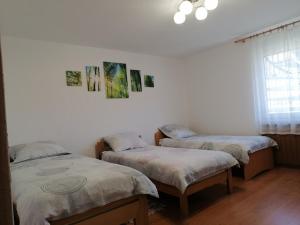 two beds in a room with white walls and a window at Apartment Vida in Bovec