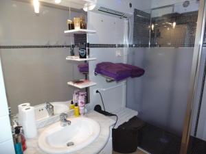 a bathroom with a sink and a shower at LOGIS DE NANO in Gratens
