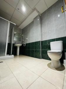 uma casa de banho com um WC e um lavatório em Alojamiento La Milana em La Robla