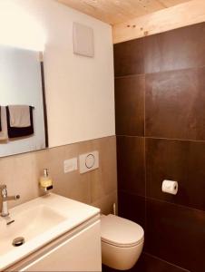 Chalet CARVE - Apartments EIGER, MOENCH and JUNGFRAU في جريندلفالد: حمام به مرحاض أبيض ومغسلة