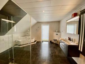 a bathroom with a shower and a sink and a tub at Moderne Ferienwohnung Seeblick in Freudenberg