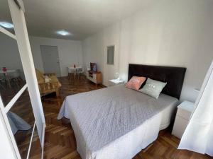 1 dormitorio con 1 cama y sala de estar en Hermoso departamento en el Centro de Buenos Aires- Viamonte 3 en Buenos Aires