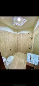 ein Bad mit einem WC und einem Waschbecken in der Unterkunft Grand Luxury Hotel Multan in Multan