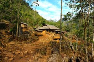 un groupe de huttes au milieu d'une forêt dans l'établissement Hoa Phong homestay Moc Chau, à Mộc Châu