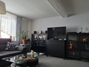 a living room with a couch and a flat screen tv at Ruhige Ferienwohnung mit Balkon und Terrasse nahe Kassel in Helsa