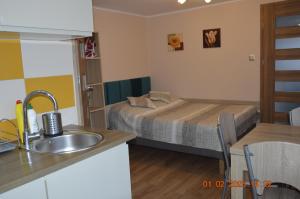 Postel nebo postele na pokoji v ubytování Apartamenty i pokoje u Kryni