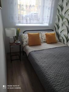 uma cama com duas almofadas e uma janela num quarto em Apartament Miodownik em Międzylesie