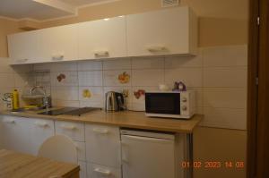 Kuchyň nebo kuchyňský kout v ubytování Apartamenty i pokoje u Kryni