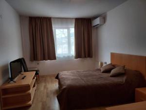 een slaapkamer met een groot bed en een raam bij 4 Seasons 2 - Top Lodge in Bansko