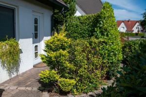 Foto dalla galleria di Ferienwohnungen Hofmann a Zingst Altre 66 foto