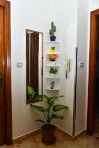 Kép Amaryllis Apartments szállásáról Bagheriában a galériában