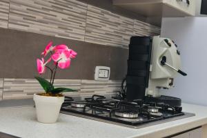 A kitchen or kitchenette at Amaryllis Apartments
