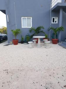a patio with a table and potted plants in front of a building at The View Apartment in Willemstad