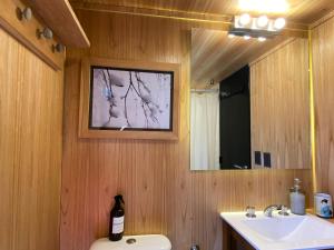 a bathroom with a sink and a mirror at Encuentro Silvestre. Tiny house en Lago Lolog in San Martín de los Andes +49 photos