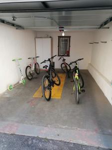 Jízda na kole v ubytování Apartman Lana in city centre with garage nebo okolí