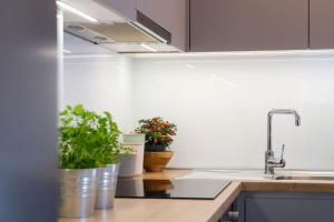 een keuken met potplanten en een wastafel bij Nusha's place in Zagreb +23 foto's