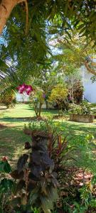 ein Park mit Bäumen und Blumen im Gras in der Unterkunft Batikseafood Airport & Room in Ban Bo Sai Klang