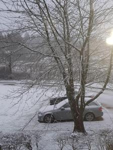 um carro estacionado ao lado de uma árvore coberta de neve em Garden Lodge close to Wakehurst and Kew Seed Bank Ardingly em Ardingly