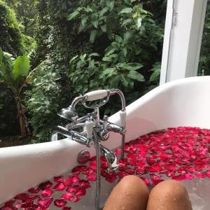 una persona está en una bañera llena de rosas rojas en Loft Vidro Vitoriano em Condomínio Rota do Vinho São Roque, en Mairinque