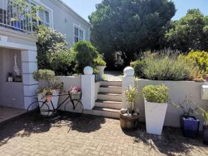 a garden with potted plants on the side of a house at Hermanus Sea view room in Hermanus