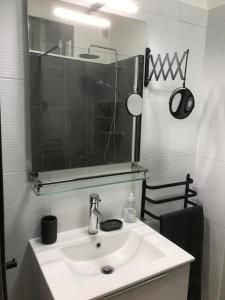 une salle de bain avec un lavabo et un miroir dans l'établissement Nice Promenade des Anglais Vue Mer, à Nice