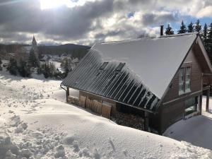 Mountain chalet v zime