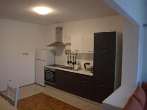 La cuisine est équipée d'un réfrigérateur noir et d'un évier. dans l'établissement Apartment Nana, à Gradići