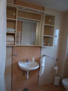 a bathroom with a sink and a toilet at Apartment Nana in Gradići +29 photos