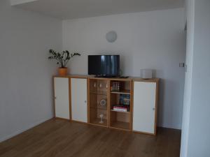 Cette chambre dispose d'une télévision et d'une armoire avec une télévision. dans l'établissement Apartment Nana, à Gradići