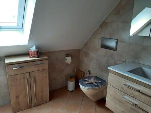 a bathroom with a toilet and a sink and a window at Ferienwohnung am Steinwald 