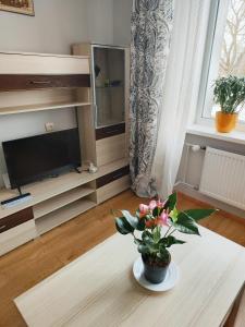 uma sala de estar com um vaso de flores sobre uma mesa em Station street apartments em Sigulda