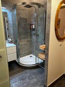 um chuveiro com uma porta de vidro na casa de banho em S&E Apartments Vienna em Viena