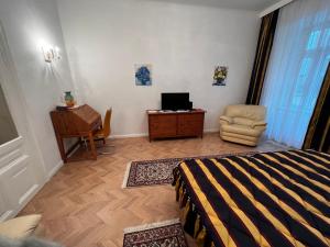 um quarto com uma cama, uma secretária e uma cadeira em S&E Apartments Vienna em Viena