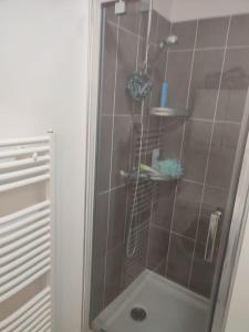 una doccia con porta in vetro in bagno di Appartement proche aéroport Orly ad Athis-Mons