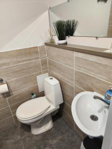 a bathroom with a toilet and a sink at Station street apartments in Sigulda