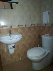 een badkamer met een toilet en een wastafel bij Apartament 4 seasons - Top Lodge in Bansko