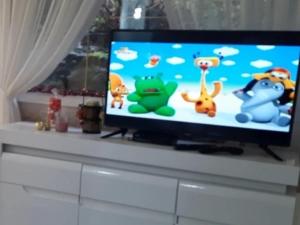 TV a/nebo společenská místnost v ubytování Apartman Bella Vita