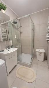 a bathroom with a shower and a sink and a toilet at Apartament "Cztery Pory Roku" in Świdnik