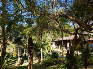 einen Garten mit einem Haus und Bäumen und einer Straßenbeleuchtung in der Unterkunft Pousada Madalena in Santa Maria Madalena