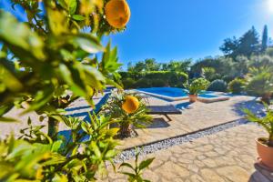 um resort com piscina e algumas plantas em Holiday Home Taraš em Smilčić