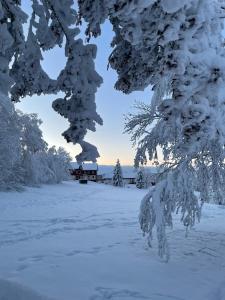 einen schneebedeckten Park mit einer Bank und Bäumen in der Unterkunft Gemütliche Ferienwohnung Harz Braunlage Hohegeiß in Braunlage