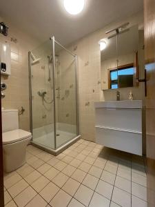 W łazience znajduje się prysznic, umywalka i toaleta. w obiekcie Gemütliche Ferienwohnung Harz Braunlage Hohegeiß w mieście Braunlage