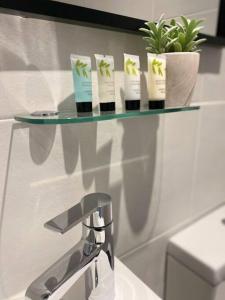 a glass shelf above a sink with four plants on it at Beach Haven in Bournemouth